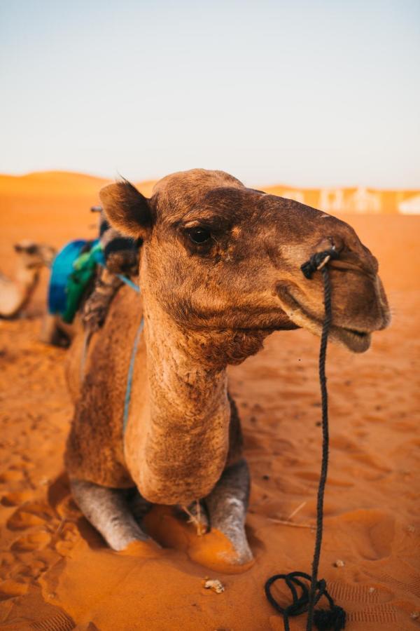 Sanmao Desert Luxury Camp Merzouga Extérieur photo